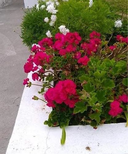 Casa Quinta Ferias Holiday home *